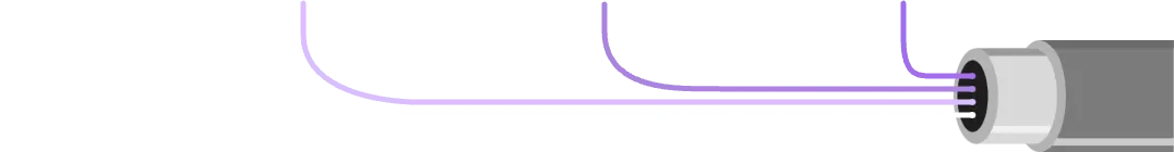 SVG containing a fiber cable