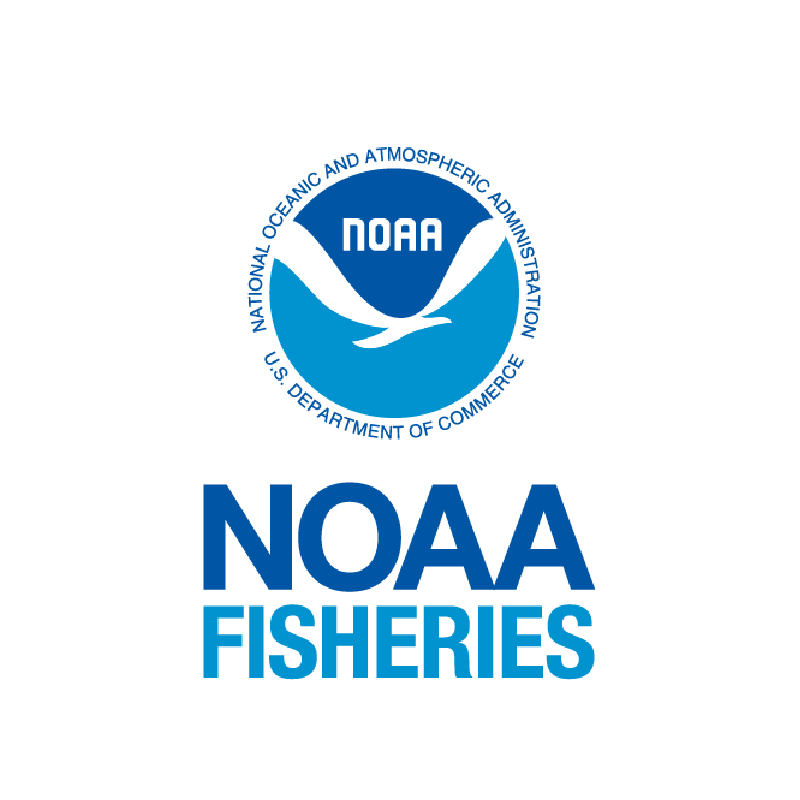 NOAA Logo (stacked)