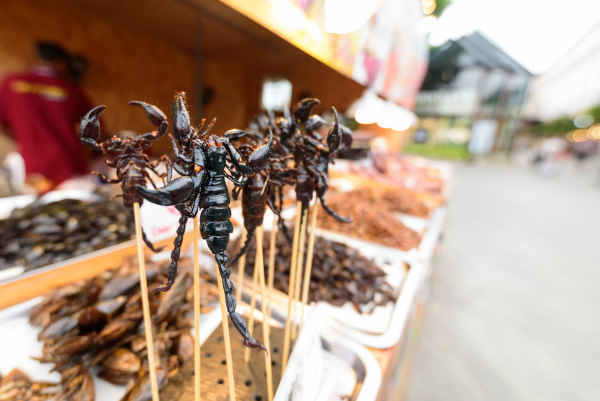 The Intrepid Menu: Southeast Asia's Most Adventurous Delicacies