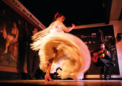 Flamenco Show