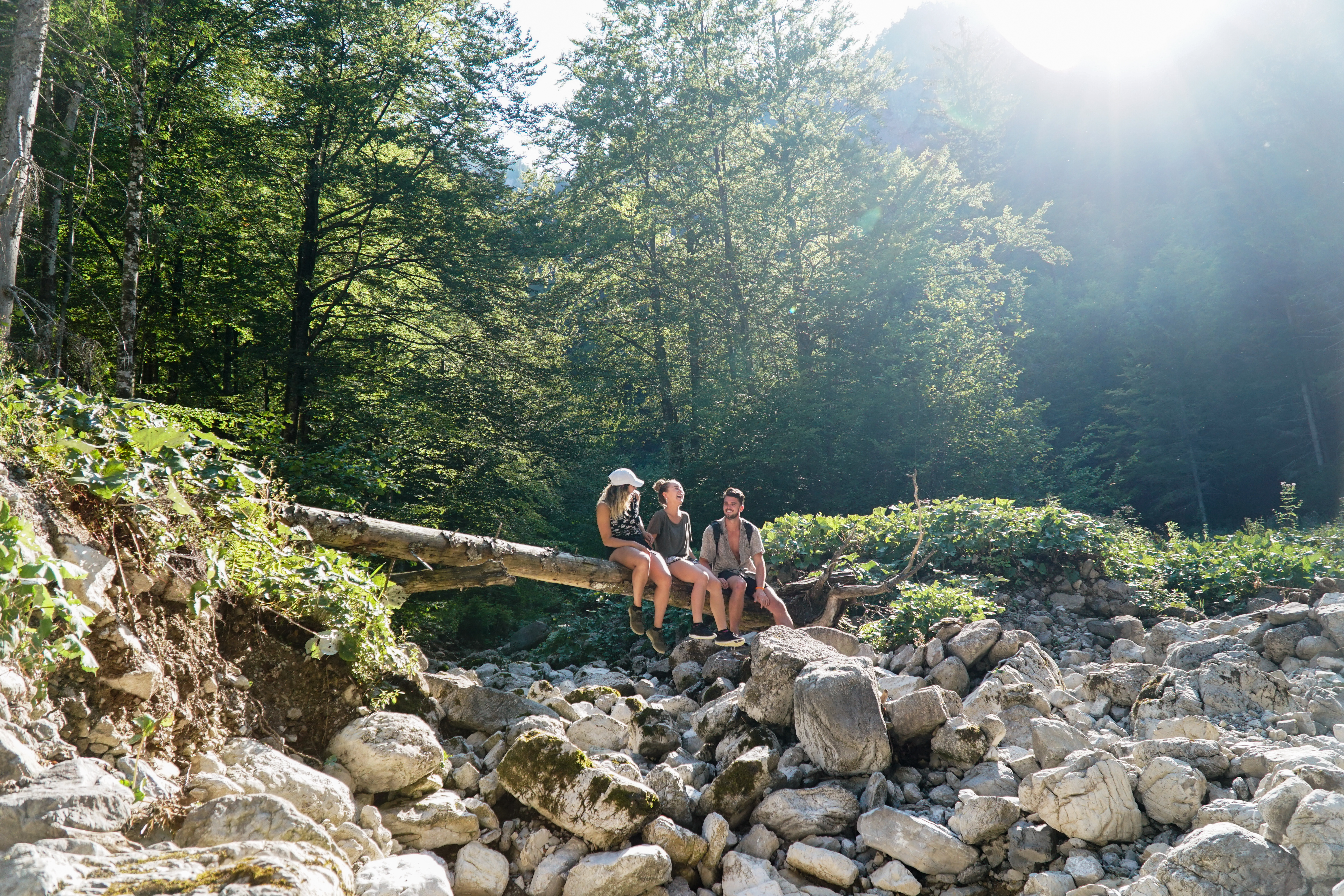 Best Quirky Things To Do In Paris