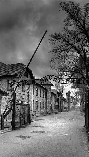 Auschwitz-Birkenau Tour
