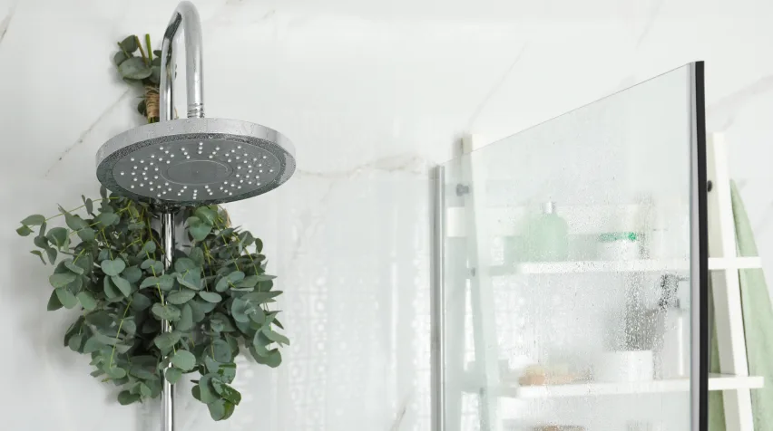 Close-up of a shower head in a bathroom with hanging eucalyptus behind it.