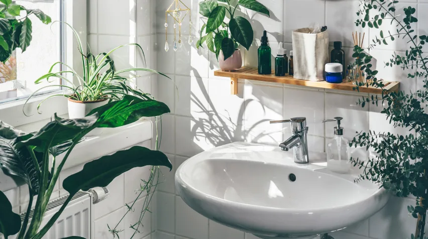 Salle de bain blanche et sereine, décorée de nombreuses plantes.