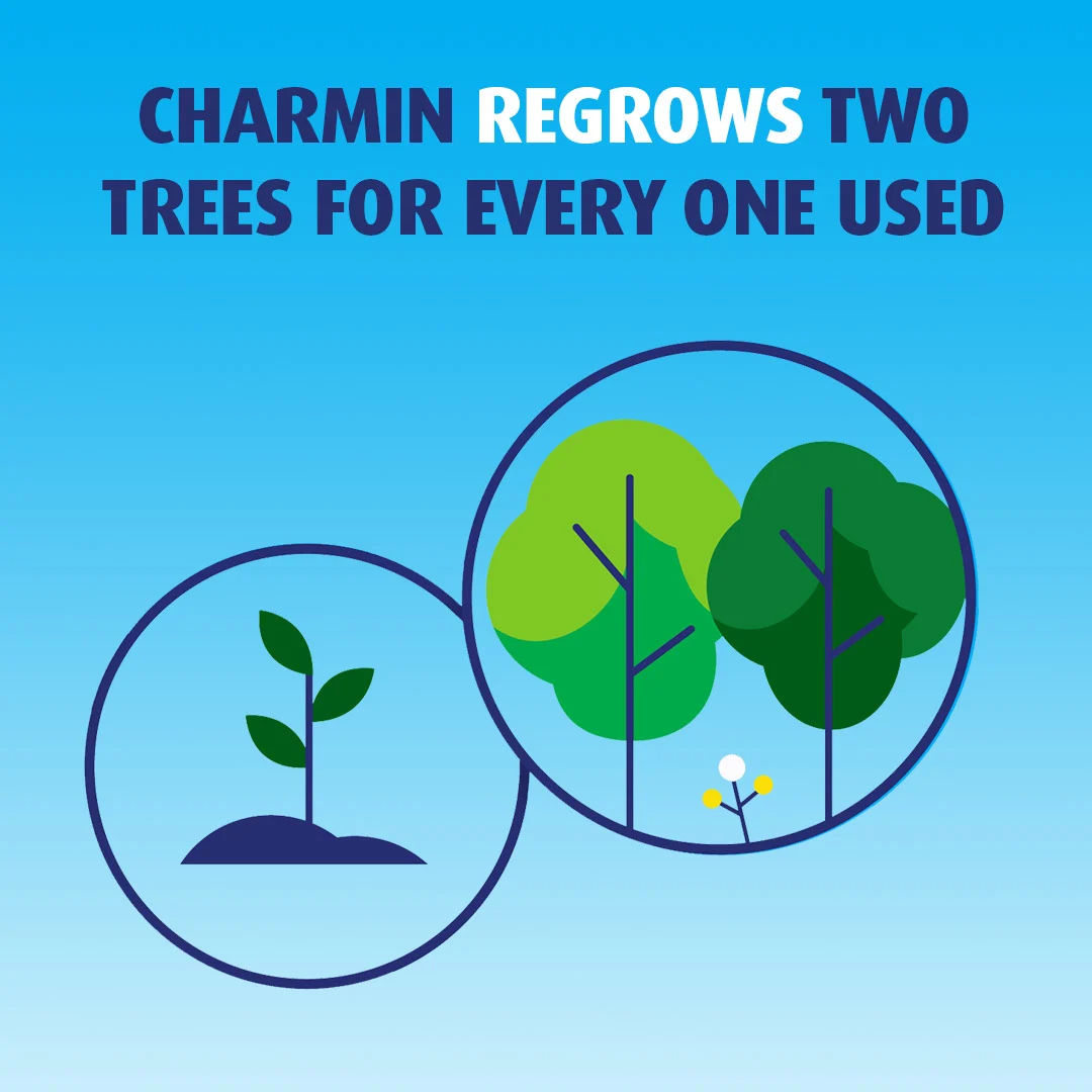 Chez Charmin, pour chaque arbre que l'on utilise, on en replante deux.