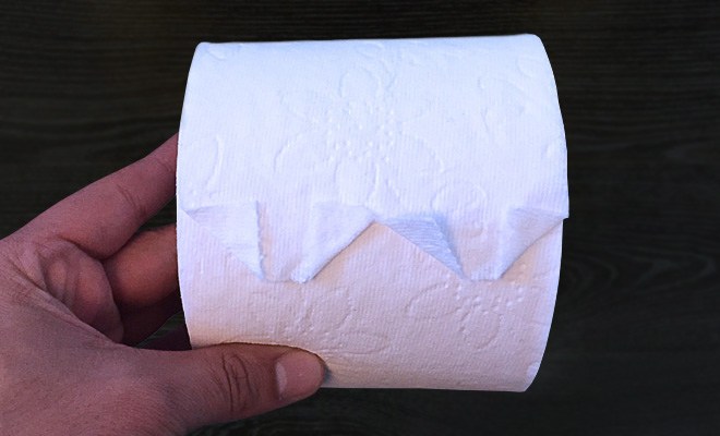 Easy toilet paper DIY craft ideas