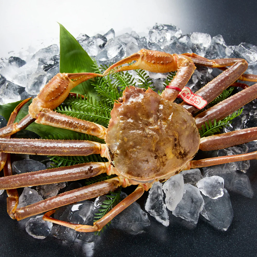 【食品・料理】 カニ総本店 松菱様の商品撮影事例紹介&インタビュー