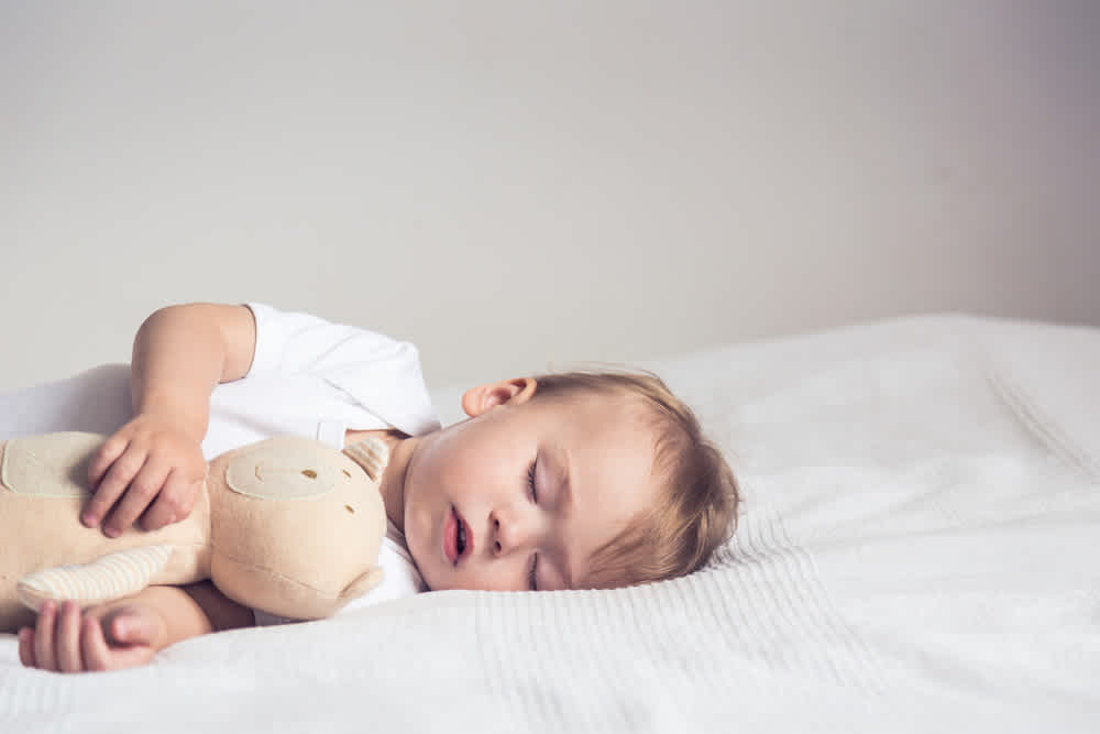 Toddler sleeping with bunny