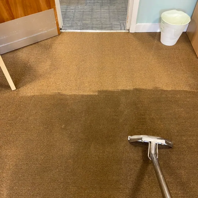 O'Neill Carpet Cleaning