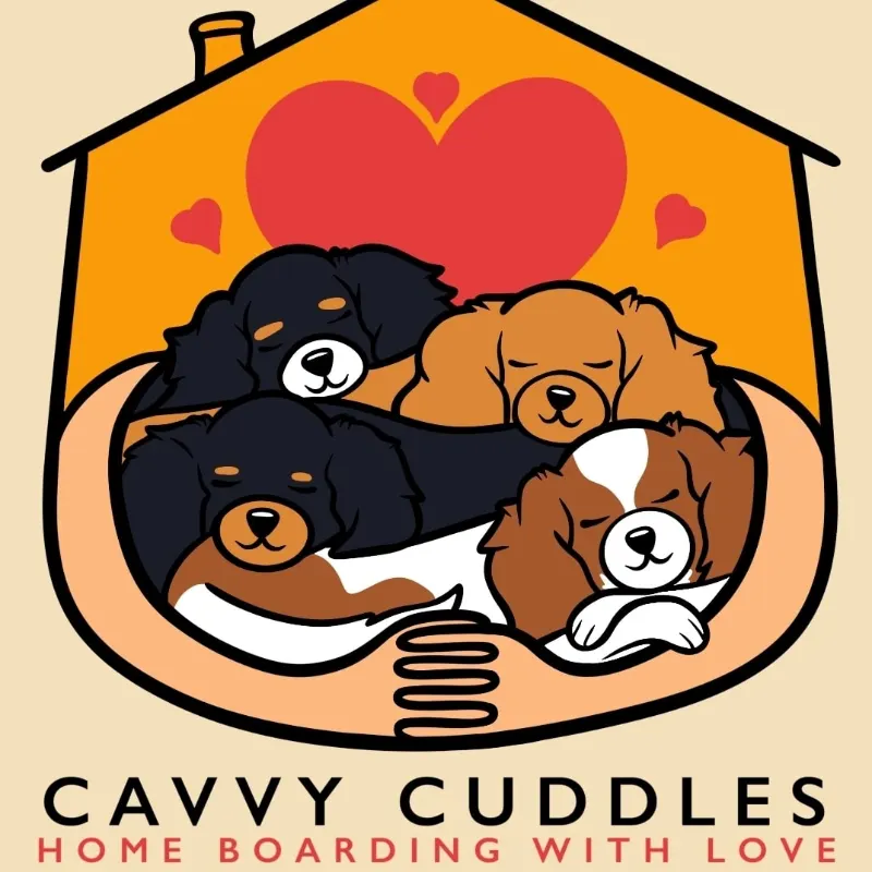 Cavvy Cuddles 