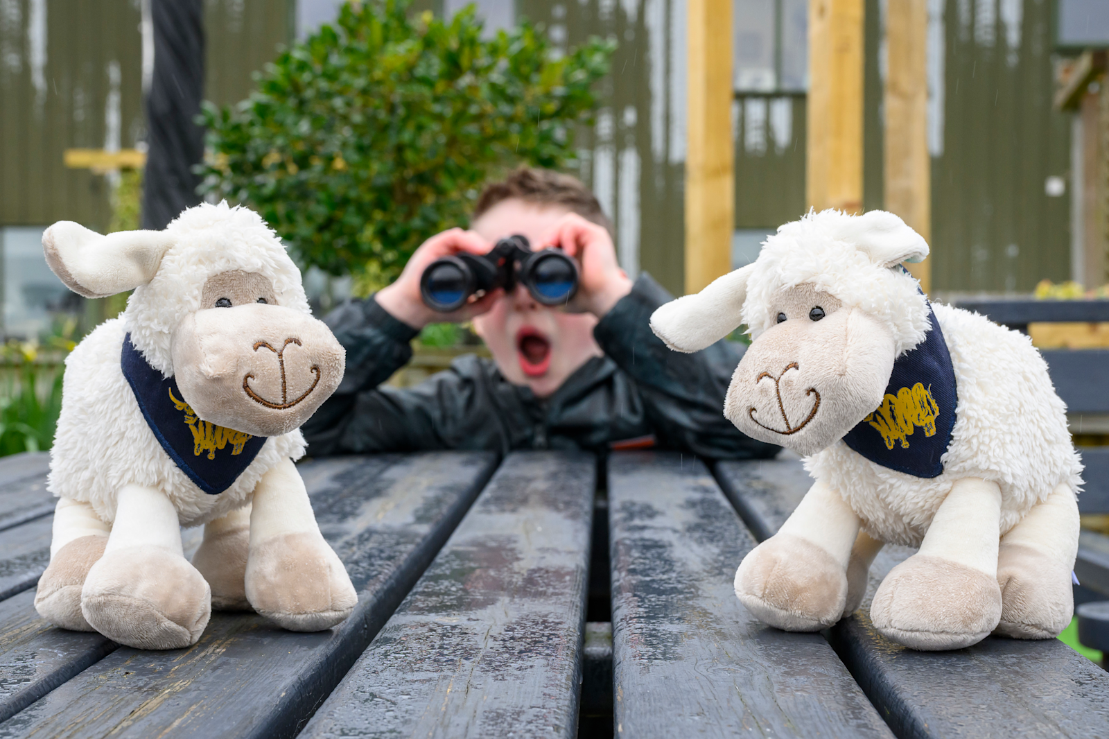 Free family fun in Edinburgh