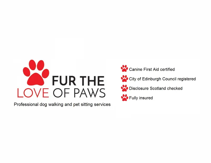 Fur the Love of Paws Dog Walking 