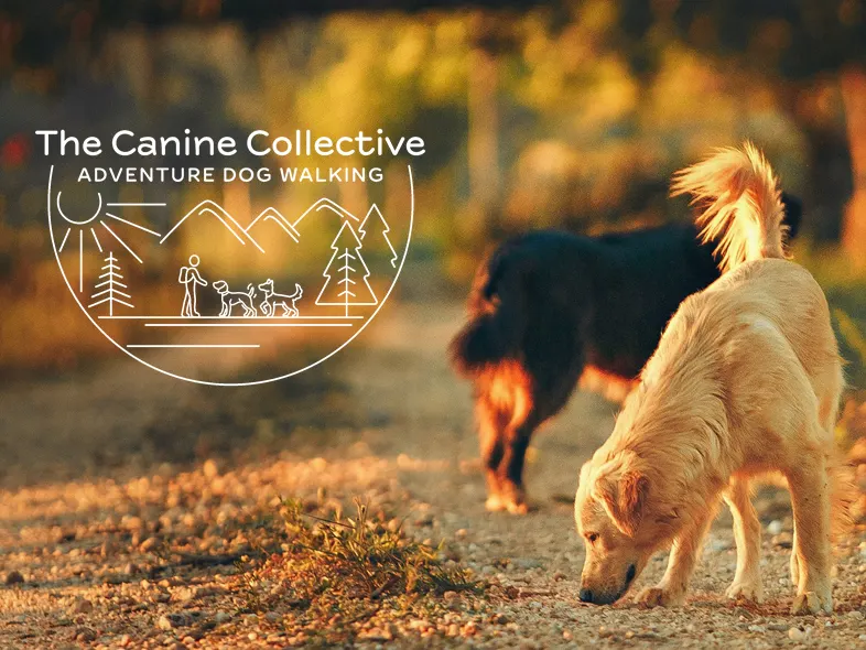 The Canine Collective