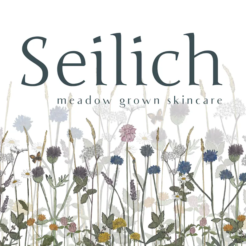 Seilich