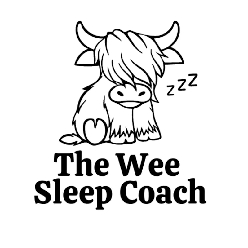 The Wee Sleep Coach