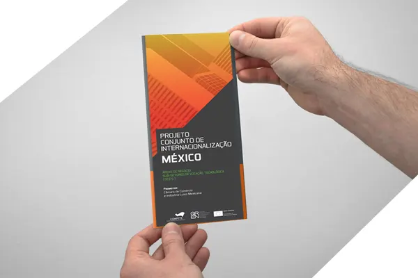 Vault Print — flyer_mexico_topo