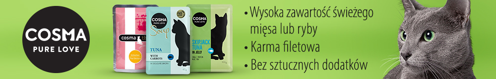  Rozpieszczaj swojego kota – sercem i produktami marki Cosma!