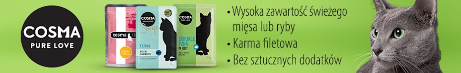 Rozpieszczaj swojego kota – sercem i produktami marki Cosma!