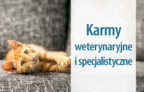 Karmy Vet Dla Kota Tanio W Zooplus
