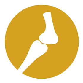 Karmy Specjalistyczne Dla Kota I Suplementy Diety Dla Kota