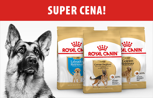 Internetowy Sklep Zoologiczny Karma I Akcesoria Dla Zwierząt W Zooplus