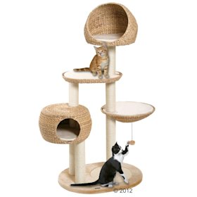 Drapak Dla Kota Wysokiej Jakosci Drapaki Tanio W Zooplus