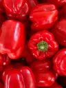 Red Bell Pepper