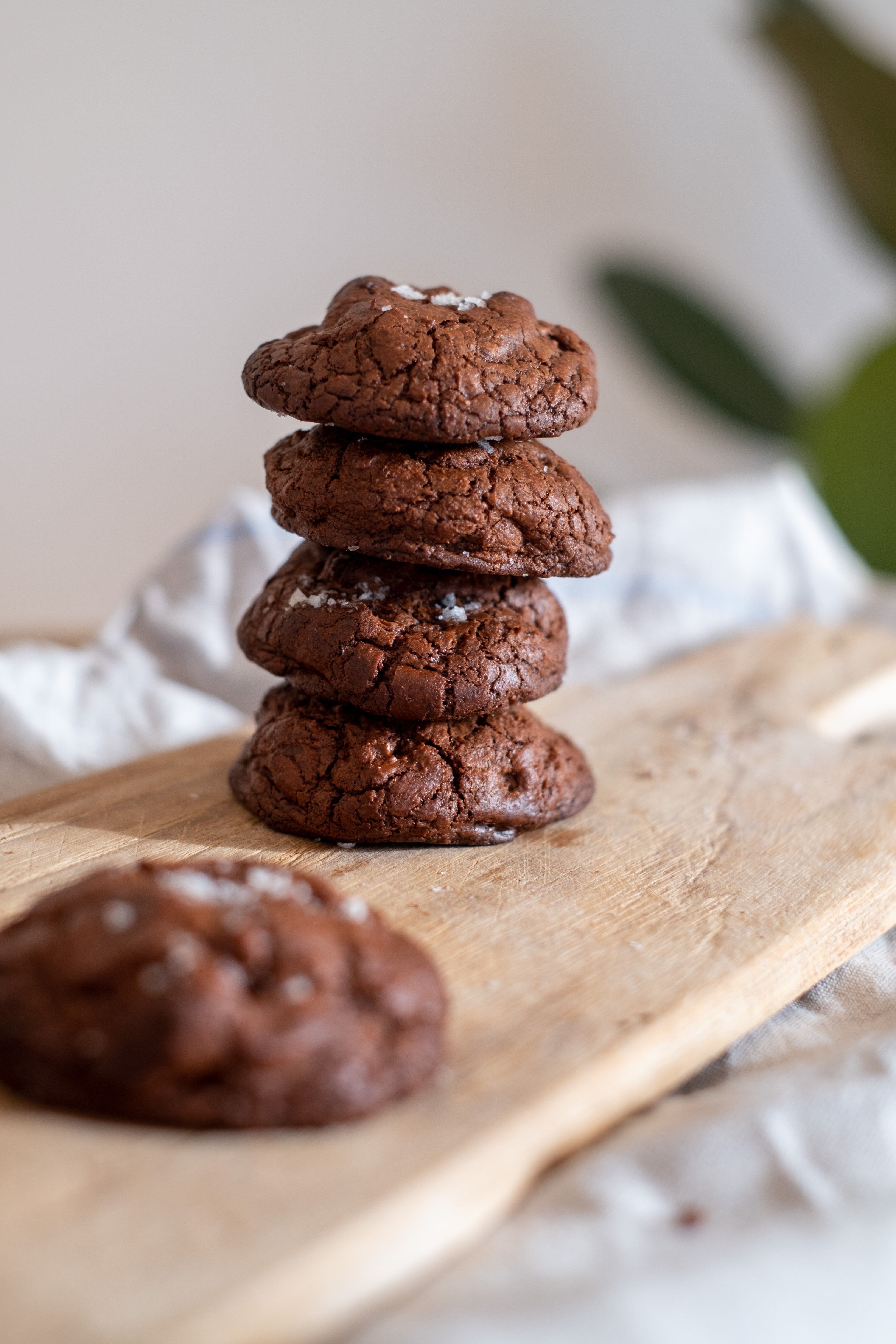 Chocolate Cookies