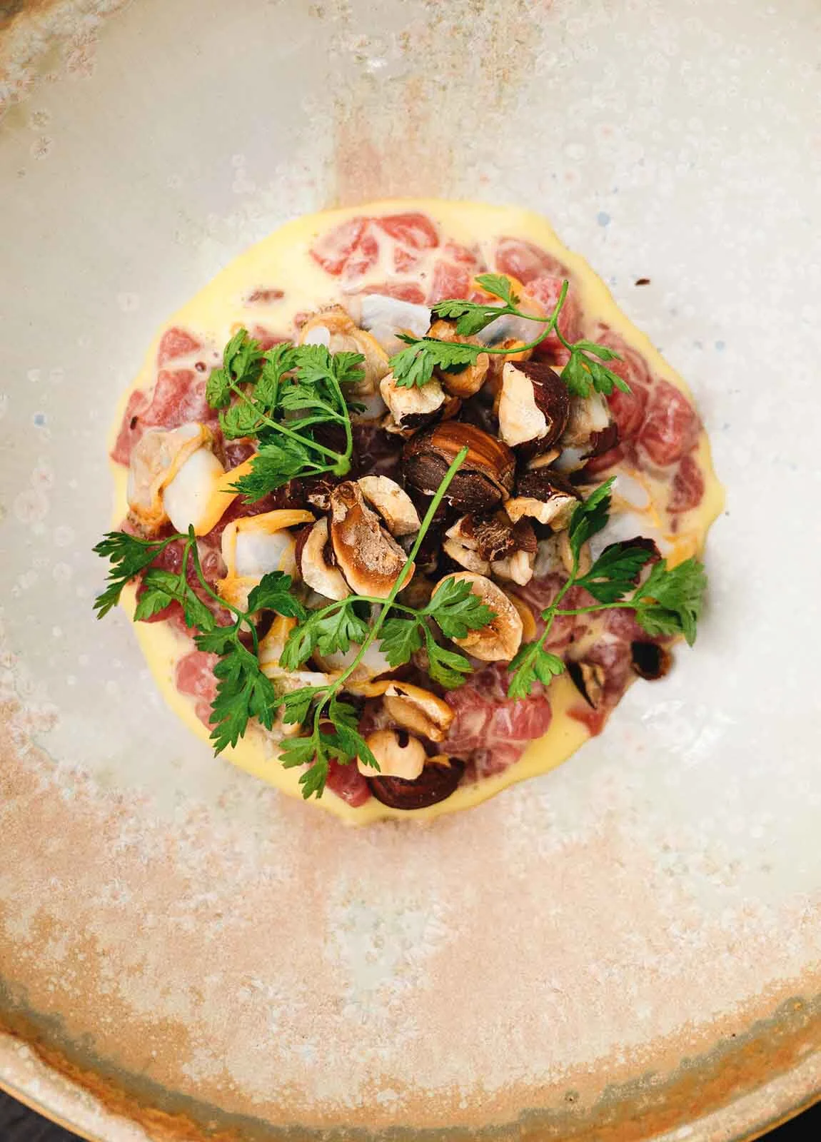 Veal Tartare with Clams & Hazelnut