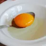 Egg Yolk