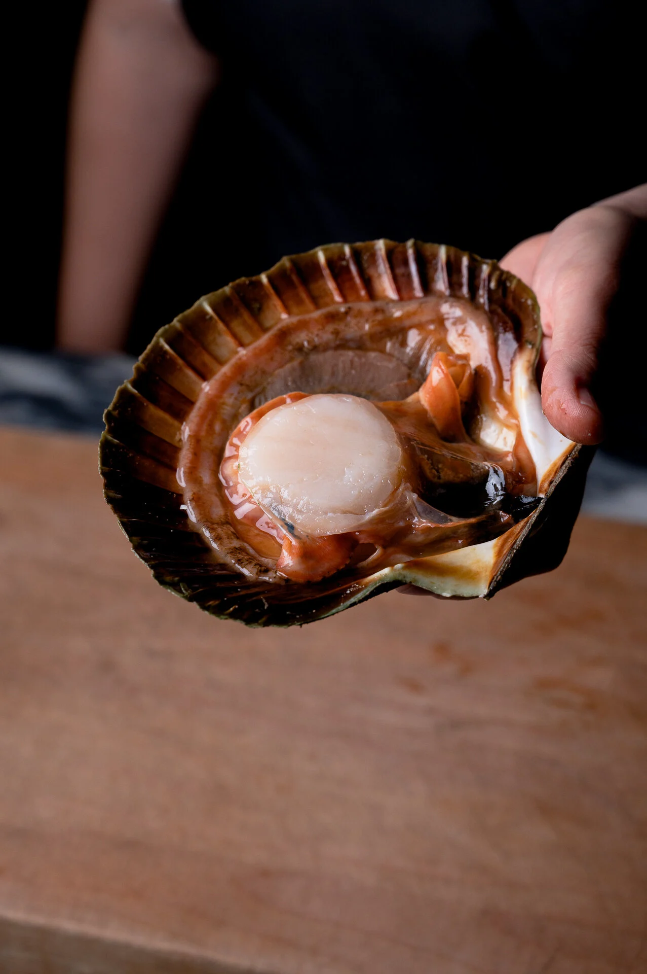 Scallop Opening