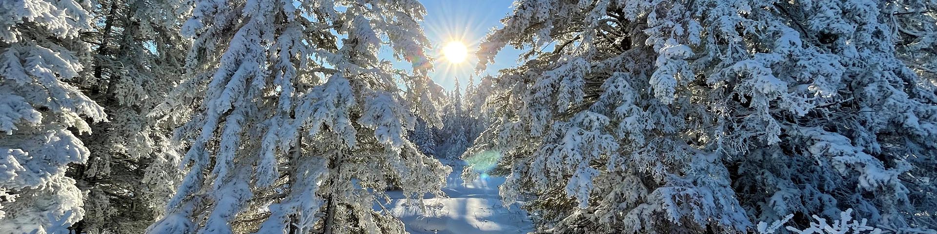 pnmr-rmnp-1123-1920x480