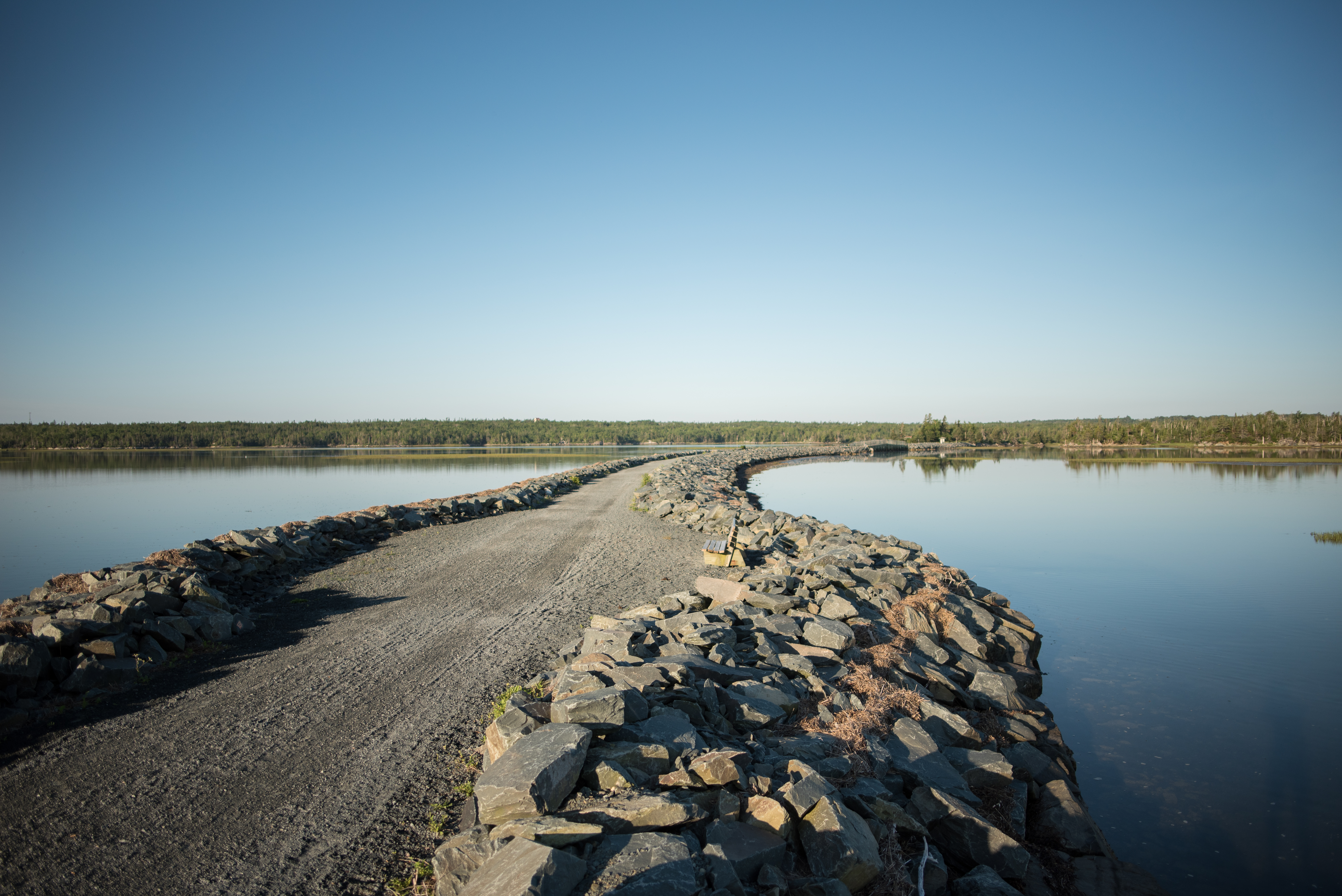 Salt Marsh Trail