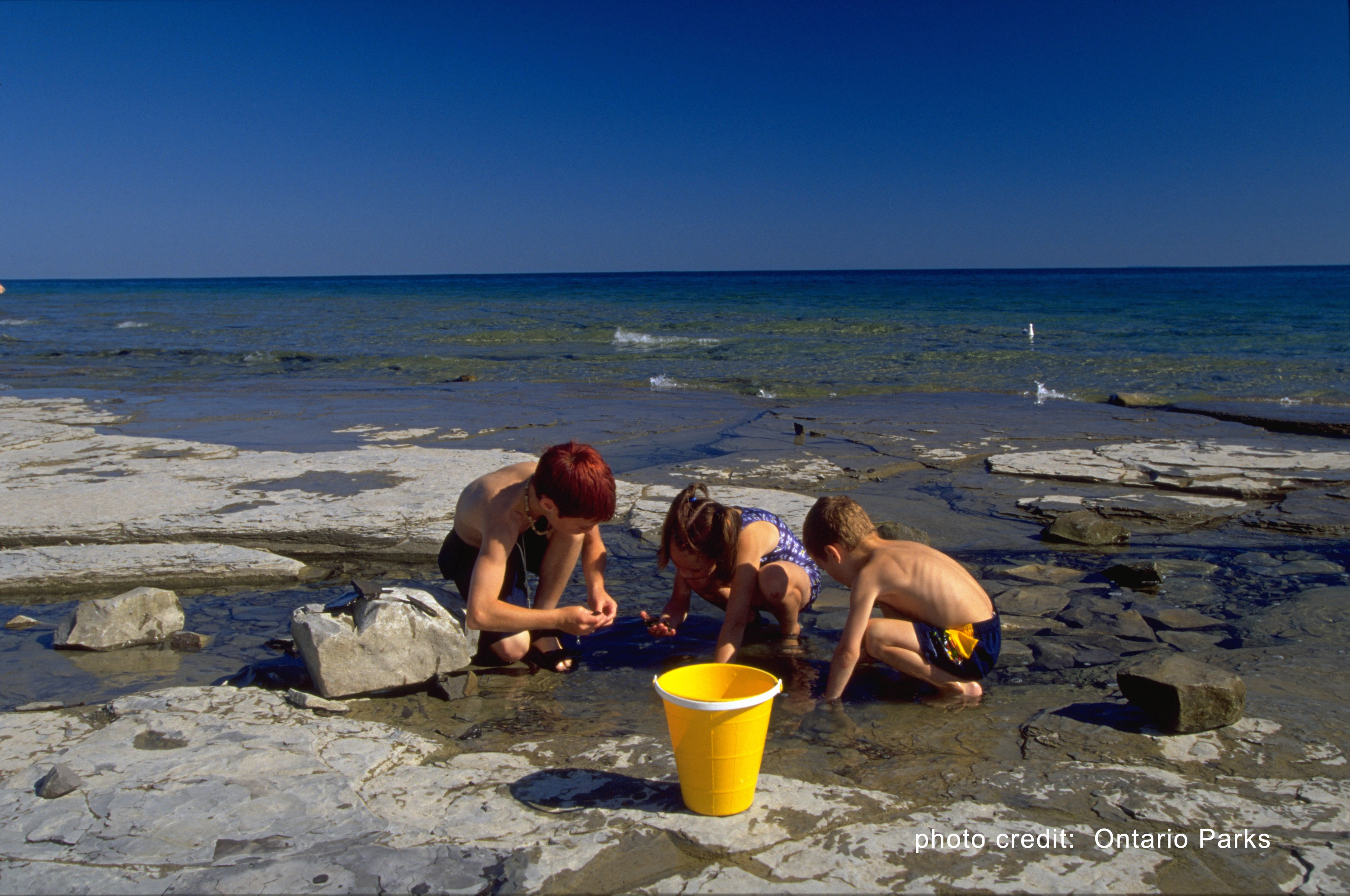 Craigleith Provincial Park