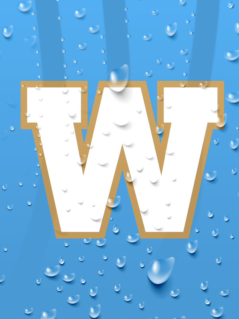 winnipeg blue bombers 2024 argos 