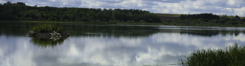 Saskatoon Island Provincial Park