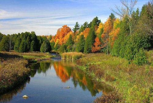 CVC - Upper Credit Conservation Area