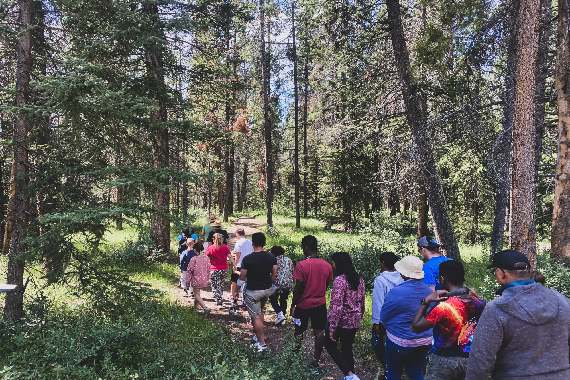 Metis Plant Walk 2