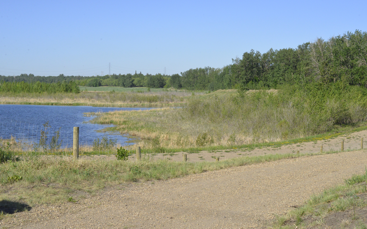 Strathcona County