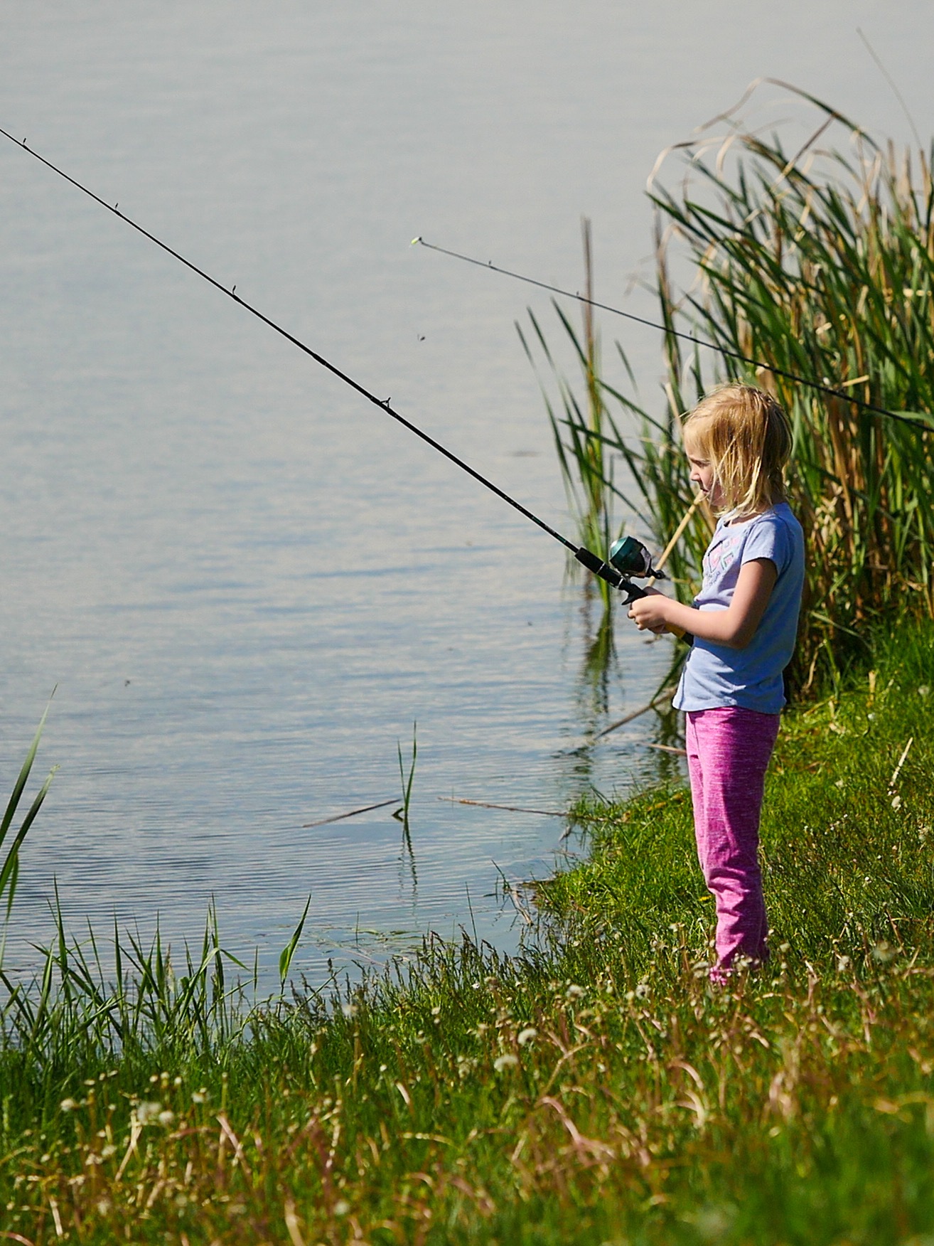 Fort Lions Community Fish Pond - Canoo