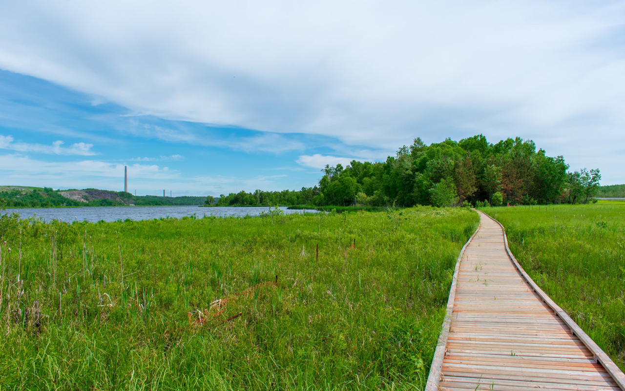 ON City-of-Greater-Sudbury Bethel-Lake-Trail-by-Debb-Pero LR