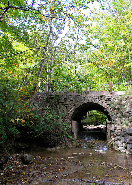 qCVC - Silver Creek Conservation Area