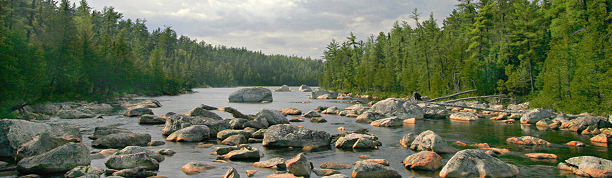 Lady Evelyn-Smoothwater Provincial Park - Canoo