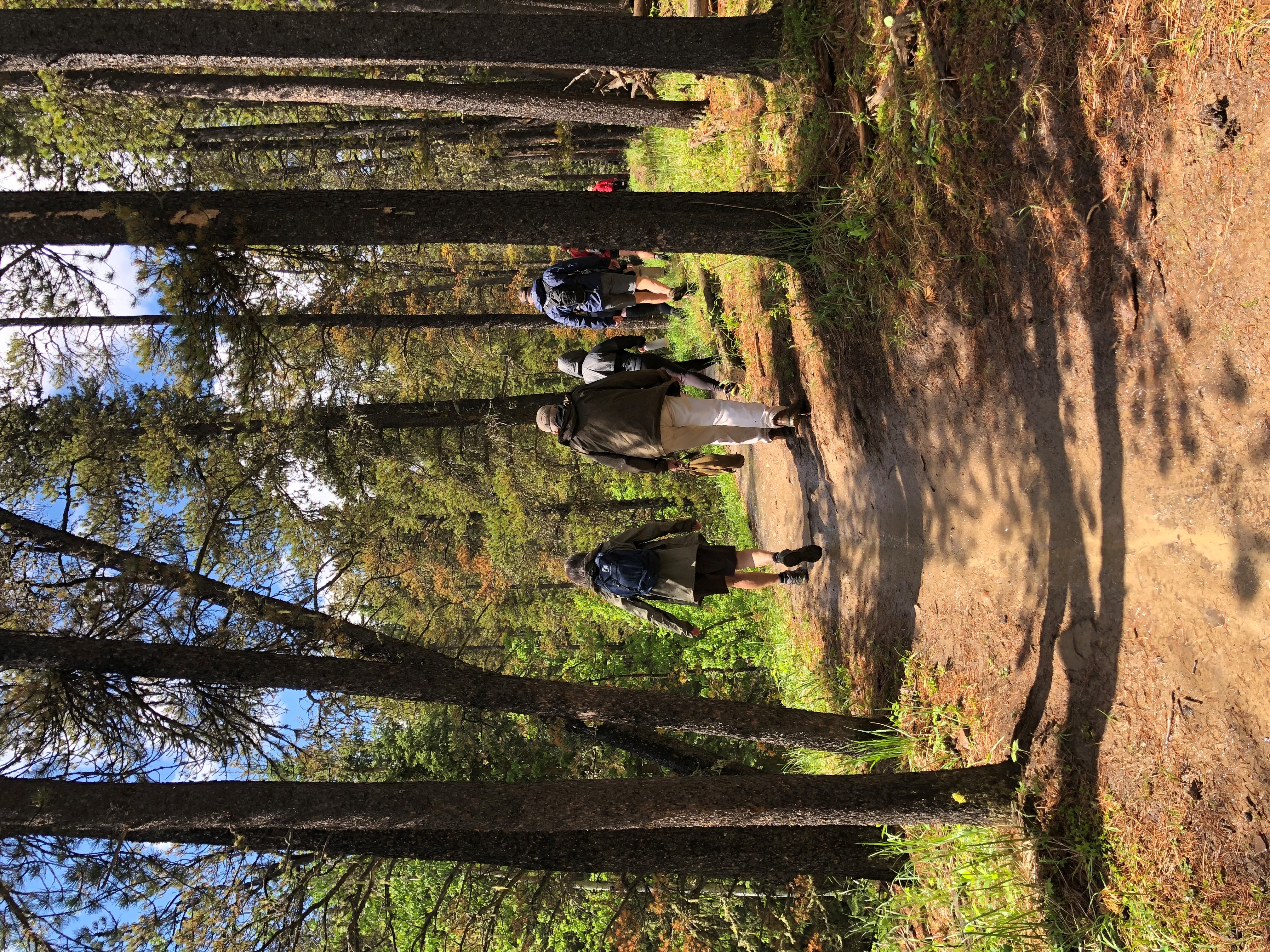 West Bragg Creek Trail