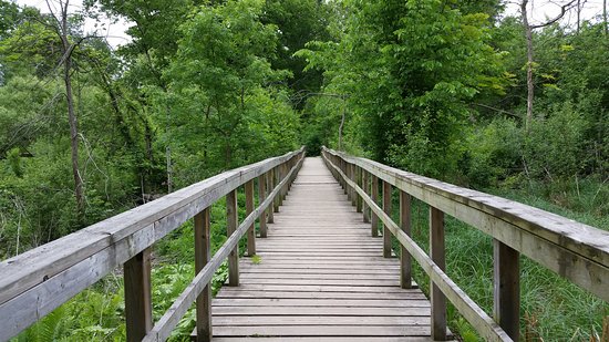 CVC - Rattray Marsh Conservation Area