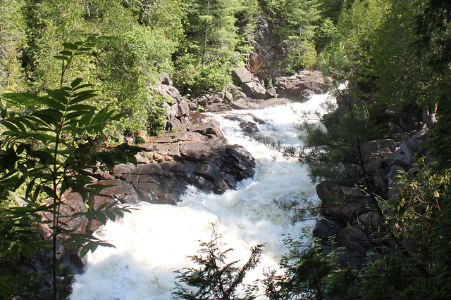 Oxtongue River - Ragged Falls