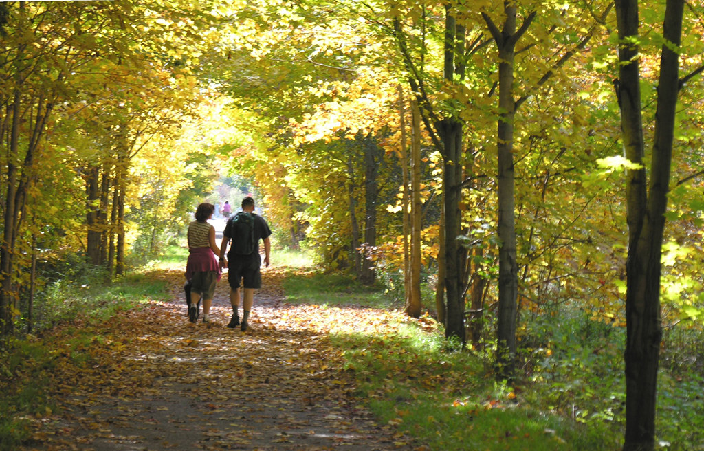 CVC - Elora Cataract Trailway