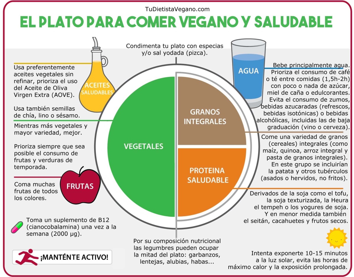 Por Qué El Plato Vegano De Harvard No Es Sólo Saludable Sino El Más Sostenible 2538