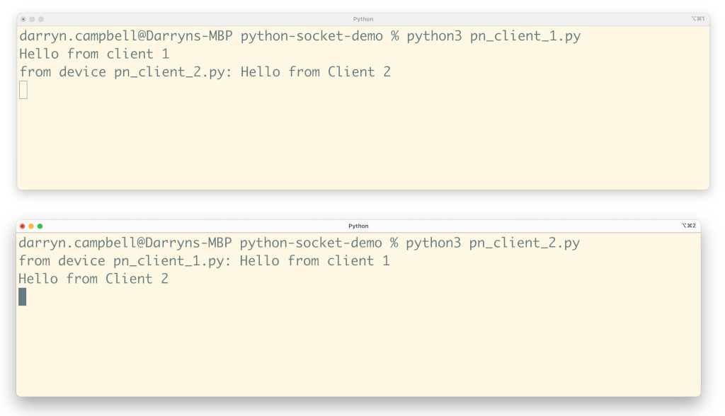 Python socket