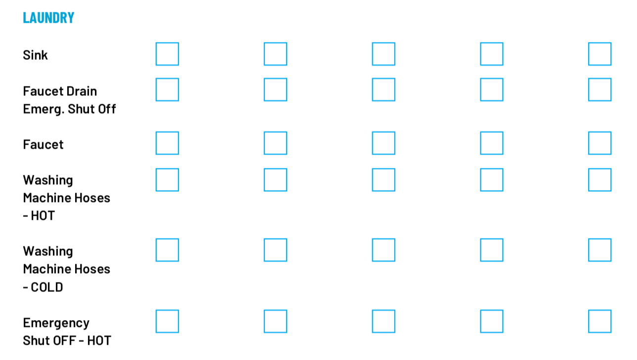 Residential Plumbing Inspection Checklist Template: Laundry